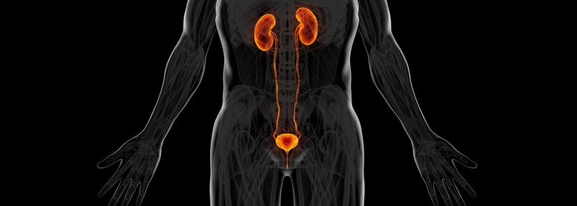 Key Immune Suppressor Mechanism in Bladder Cancer Revealed