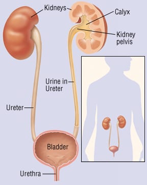 Pazopanib does not improve disease-free survival post-metastasectomy for renal cell carcinoma patients