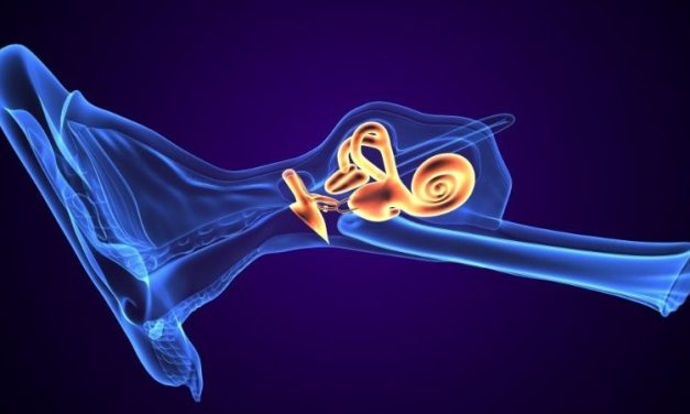 Summating Potential/Action Potential Area Ratio Best for ID’ing Meniere Disease