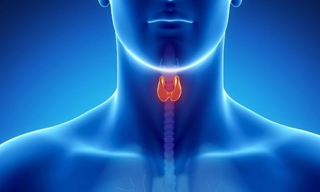 GLP1 Receptor Agonist Use Does Not Seem to Increase Risk for Thyroid Cancer